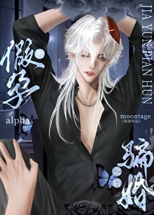 《被假孕alpha骗身之后》