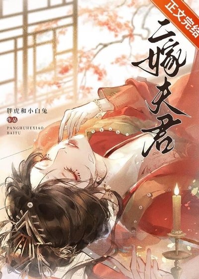 二嫁夫君