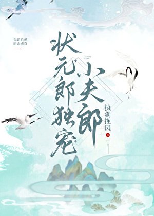 状元郎独宠小夫郎