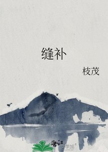 《缝补》