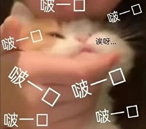 图南