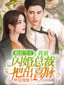 《相亲当天,我被闪婚总裁把出喜脉》