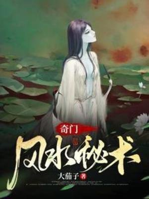 奇门风水秘术