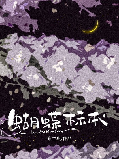 蝴蝶标本