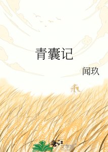 《青囊记》