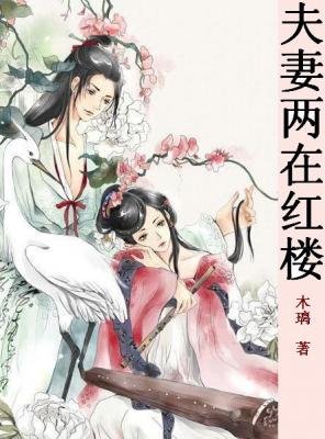 （红楼同人/BG）夫妻俩在红楼