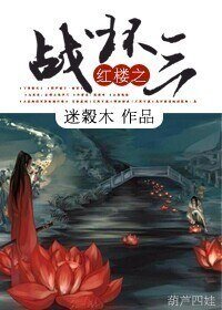 （红楼同人）红楼之战环三