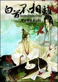 《(还珠同人)白首不相离》