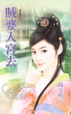 贼婆入宫去（贼保镖之二）