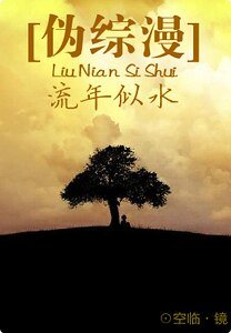 （偽綜藝團人）流年似水