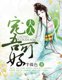 《夫人,宠吾可好》