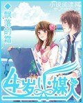 《四岁小媒人》