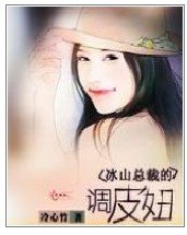 冰山总裁的调皮妞 