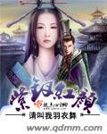 《紫钗红颜》