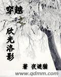 《穿越之欣光洛影》