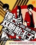《撞上双胞胎王子》