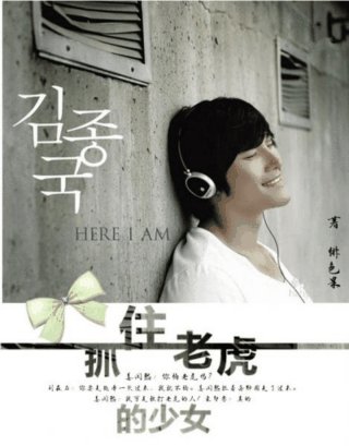《(BG/韩娱同人)抓住老虎的少女》