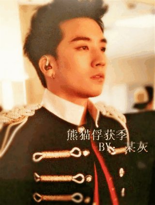 （BG/韩娱同人）韩娱之熊猫俘获季