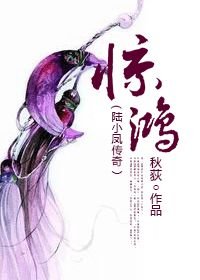 （BL/陆小凤同人）惊鸿（陆小凤传奇）