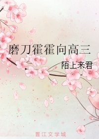 《磨刀霍霍向高三》